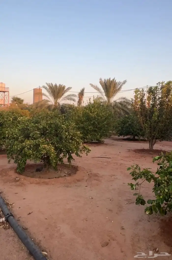 رياض الخبراء 6