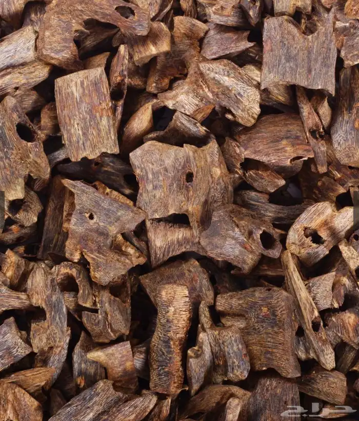 عود كينام الطبيعي اعلى الجودات لدينا دبل سوبر جودة فائقة 0