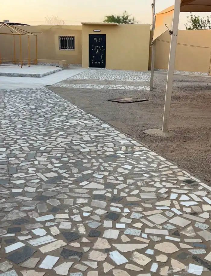 رياض الخبراء 3