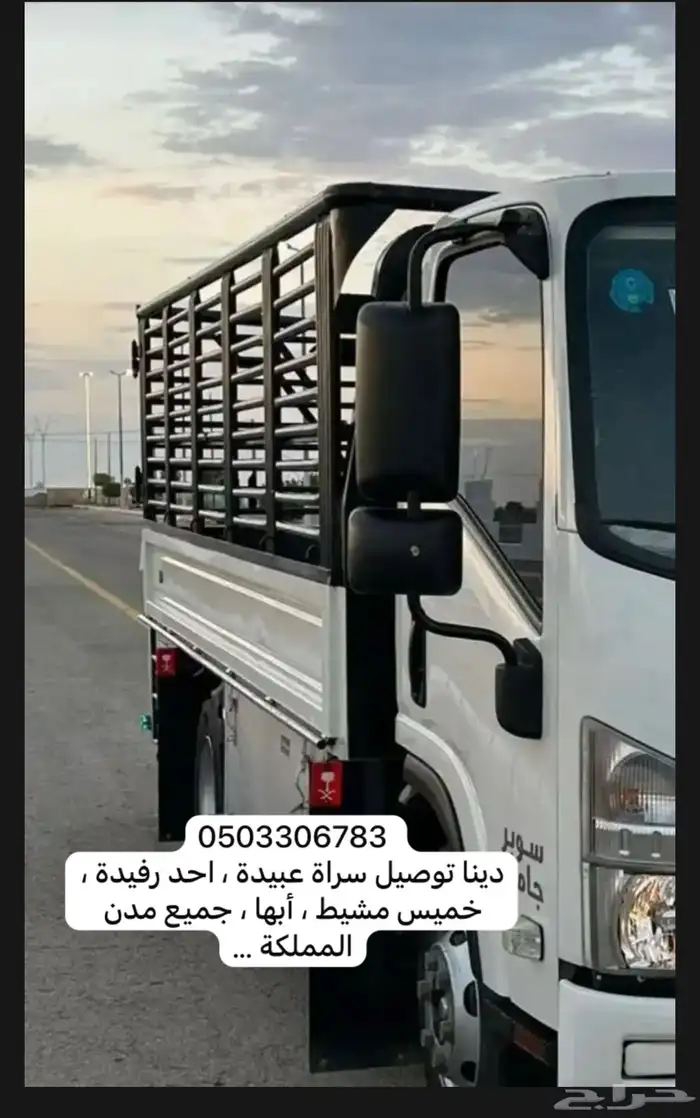 دينا شبك توصيل مشاوير 0