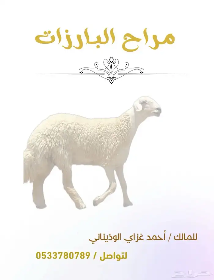 رخال ضغط عالي ومشاريع فحول 0