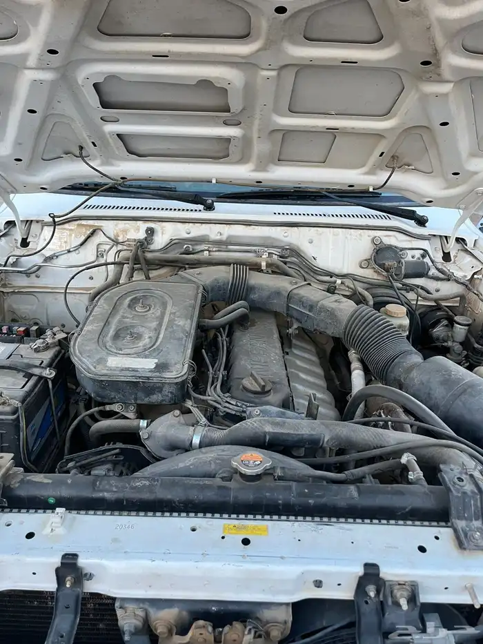 نسيان بترول 2003 3