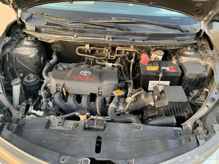 عسير بيشة 8