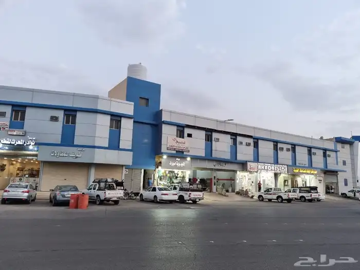 للبيع عماره سطح صناعيه السليم في حي المنتزه 2