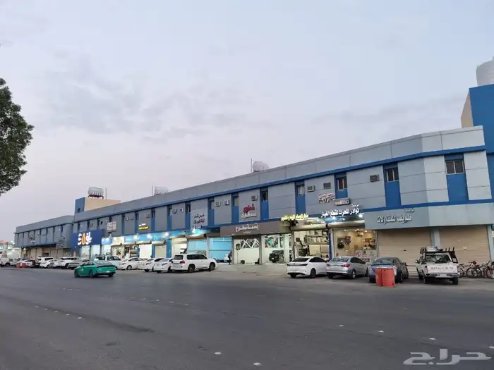 للبيع عماره سطح صناعيه السليم في حي المنتزه 3