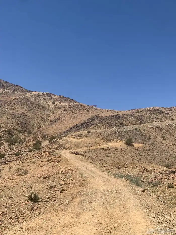 بوكلين ودركتر للايجار 1