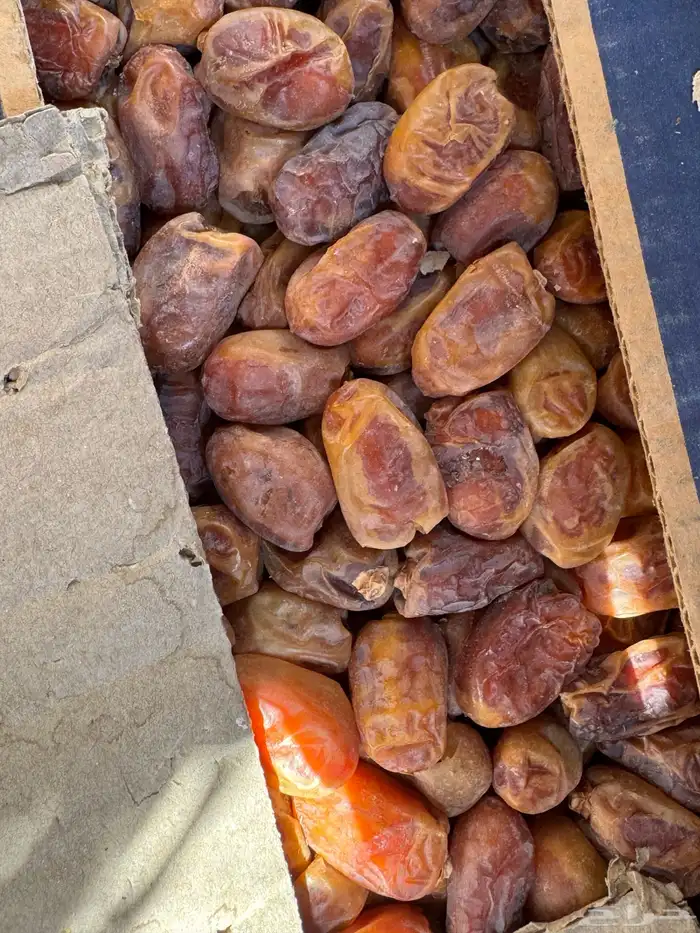 تمر خلاص حساء 0