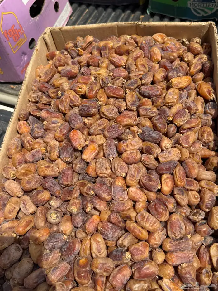 تمر خلاص حساء 2