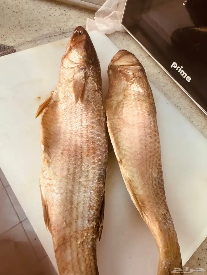 اكل مصري بيتي 23