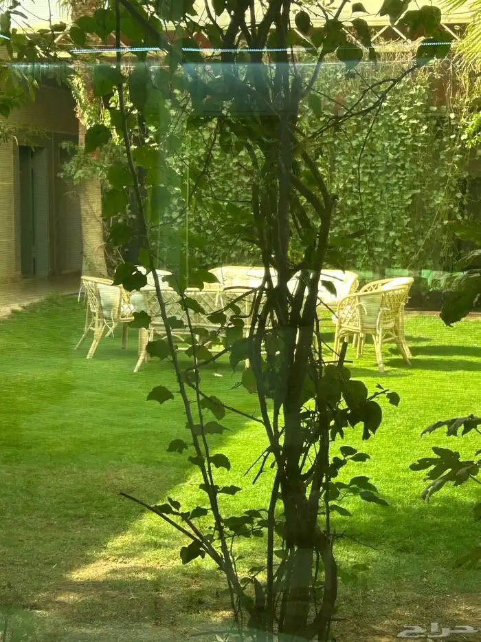 شاليه للايجار اليومي ضهرة لبن . 18