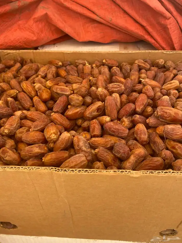 تمور صفري غير منقى للبيع 0