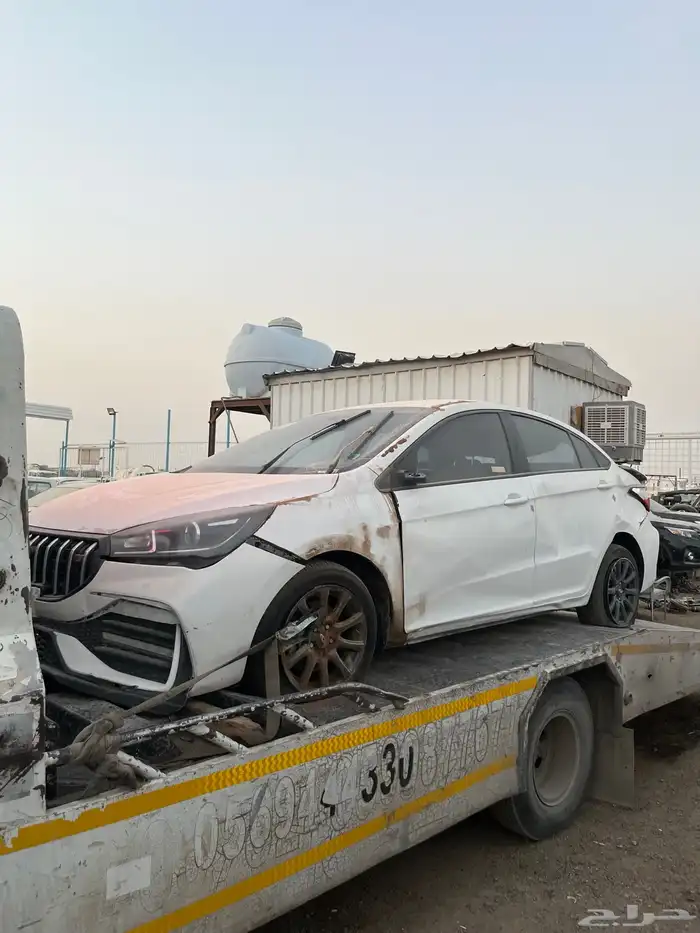 شيري اريزو 5 2024 1