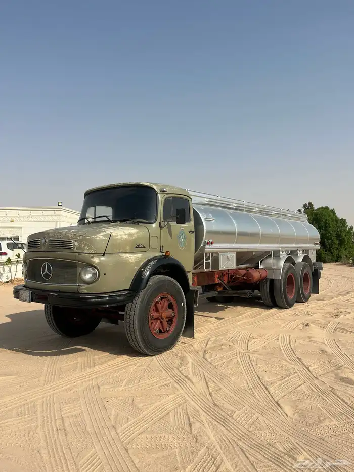 وايت سقس شد بلد للبيع 1