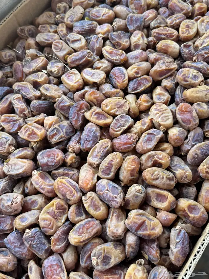 تمر خلاص حساء 1