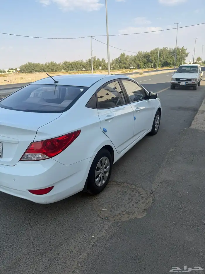 بيشه 3