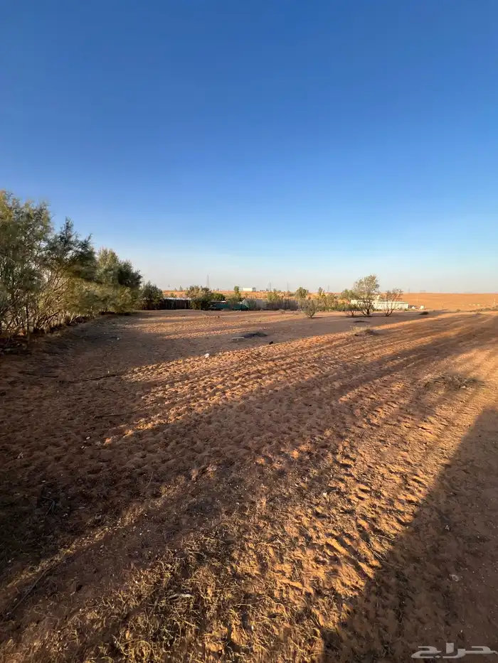 ارض للبيع شرق بريدة حي العريفية 3