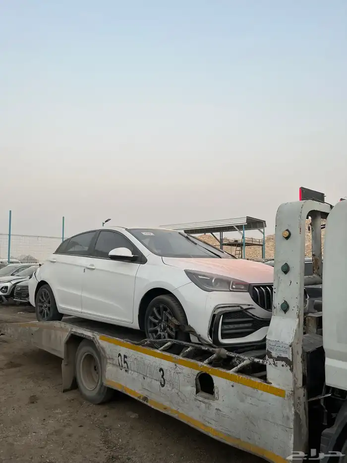 شيري اريزو 5 2024 0