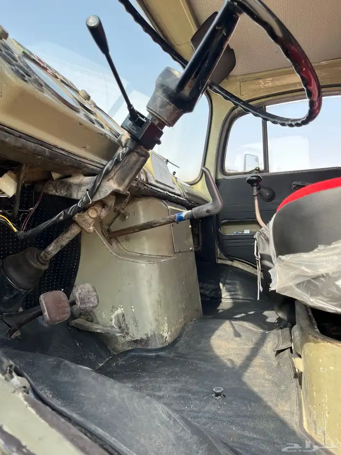وايت سقس شد بلد للبيع 14