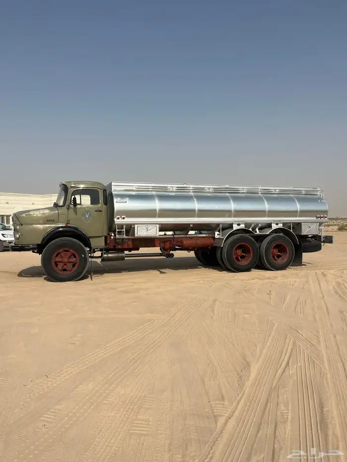 وايت سقس شد بلد للبيع 2