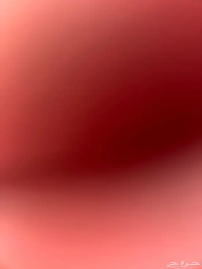 الي عنده معزا مصريه او قبرصيه يجي خاص 0