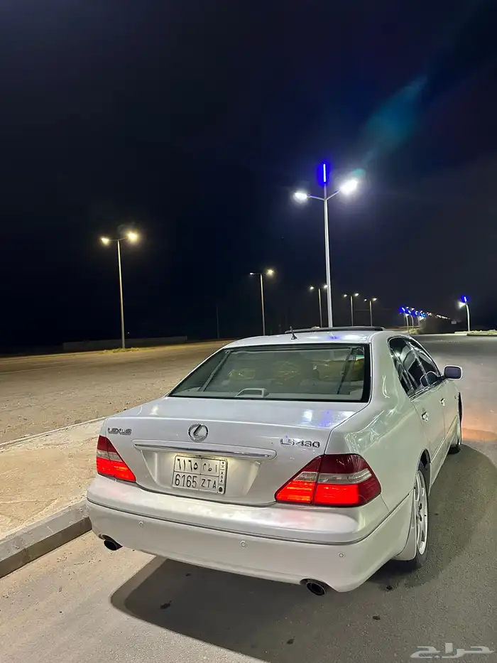 القنفذة 3
