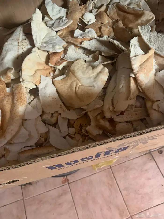 خبز الغنم. 0