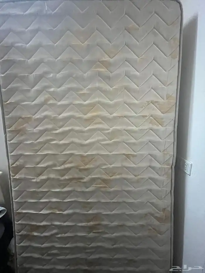 عجانه وإسفنجه للبيع 0