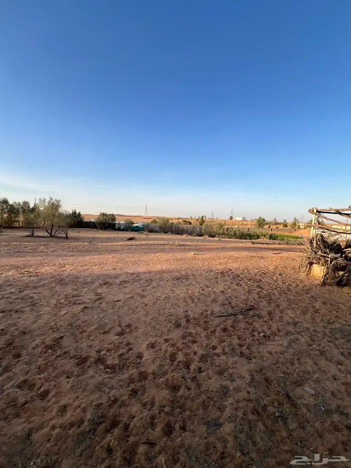 ارض للبيع شرق بريدة حي العريفية 11