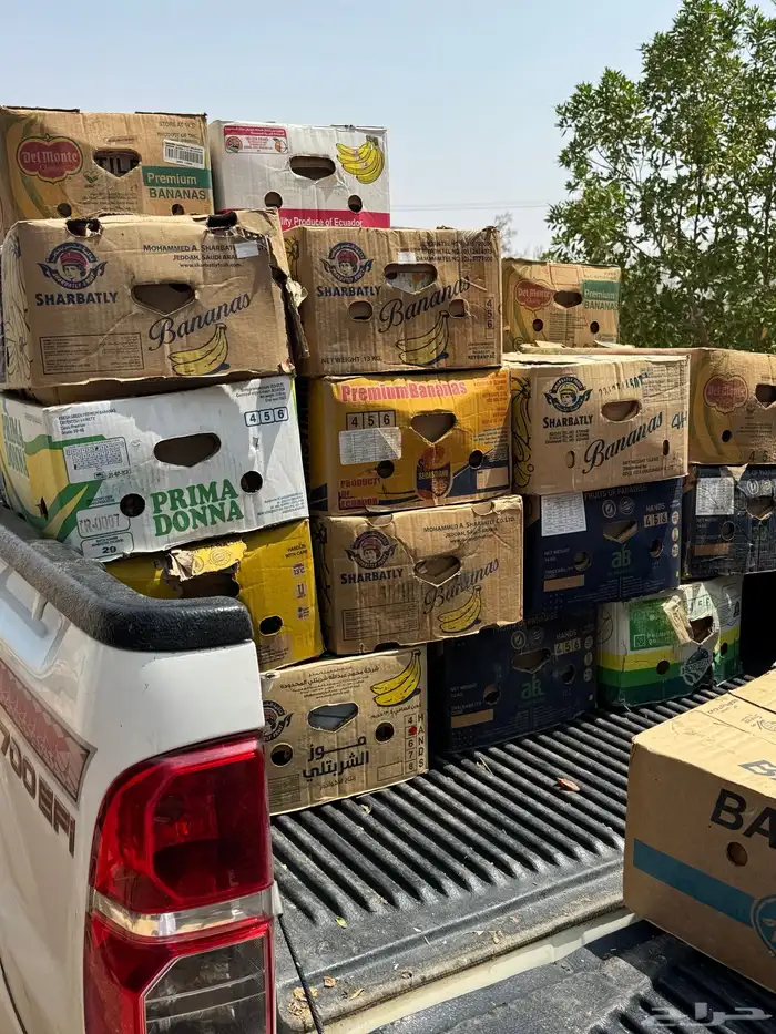 تمر خلاص حساء 3