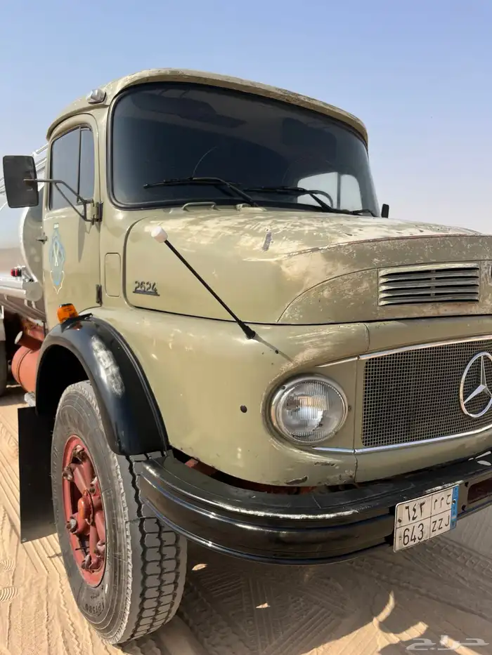 وايت سقس شد بلد للبيع 10