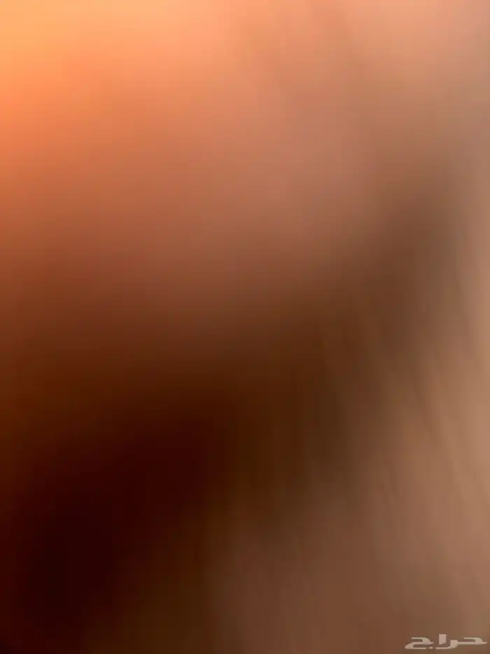 مطلوب دور للاجار 0