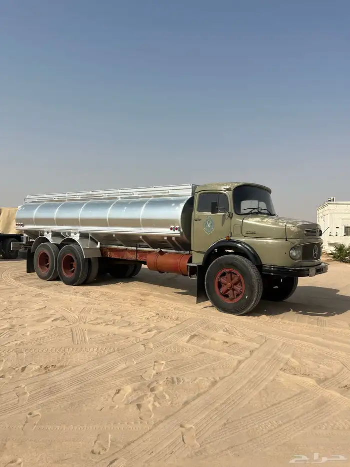 وايت سقس شد بلد للبيع 4