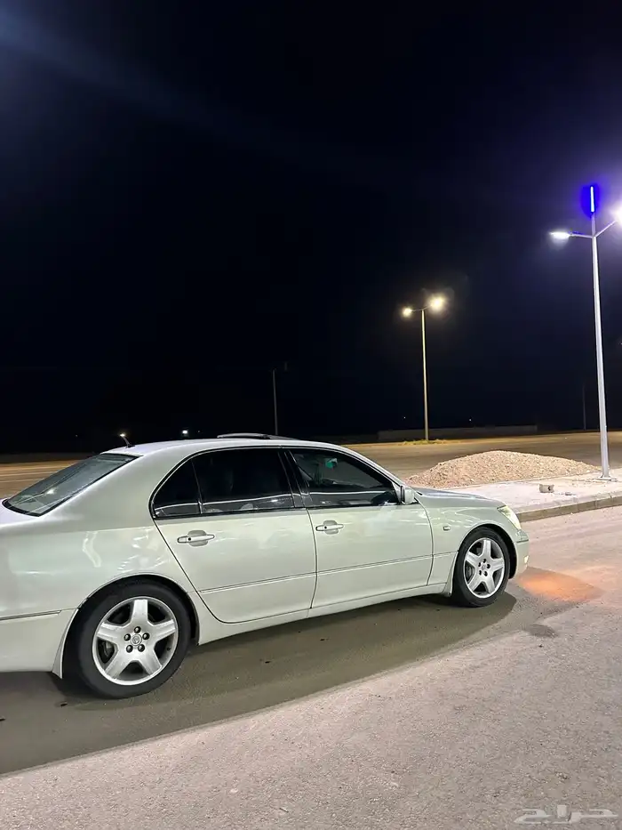 القنفذة 5