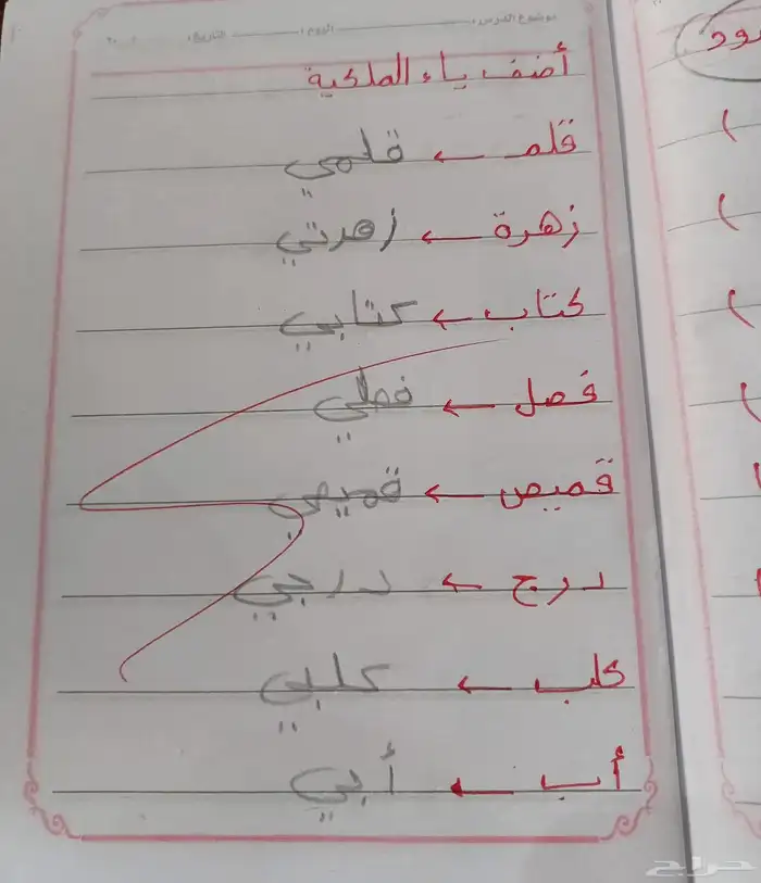 معلمة خصوصيه 5