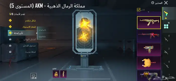 حساب ببجي للبيع 10