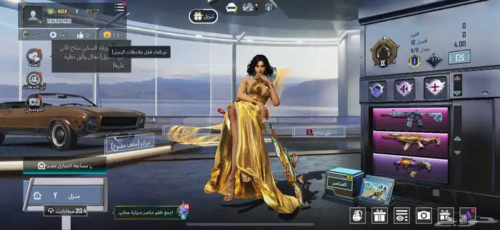 حساب ببجي للبيع 0
