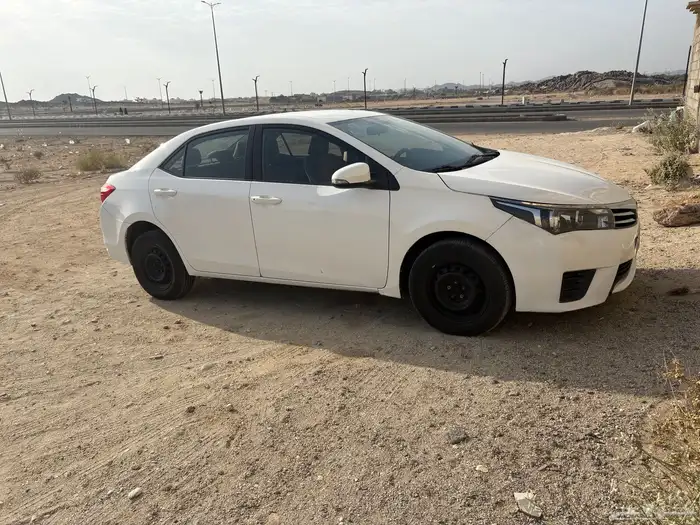 كورولا نظيف للمستخدم 0