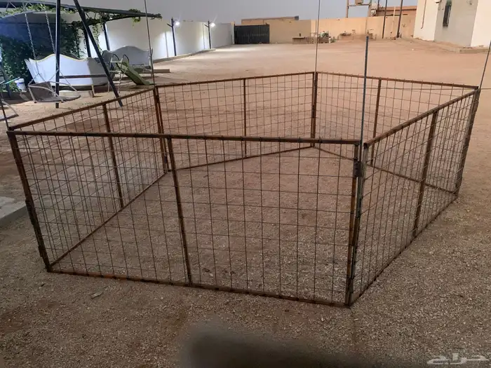 شبك عنم 0