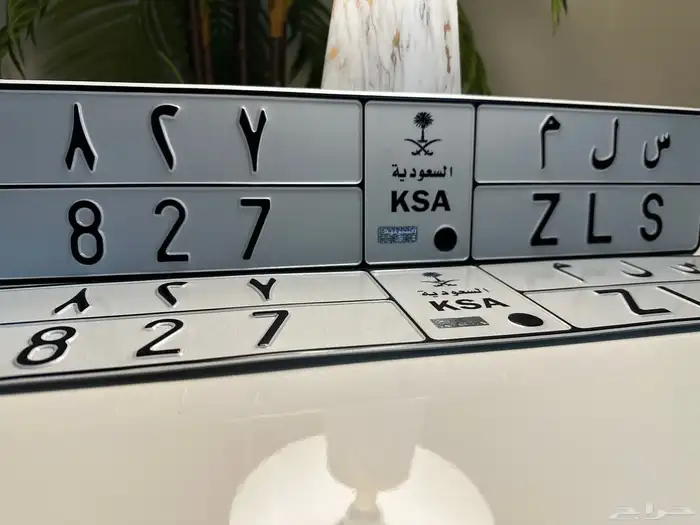 لوحه مميزه للبيع س ل م 827 1