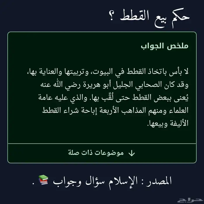 قطه سكوتش فولد من أم بريطانية 4