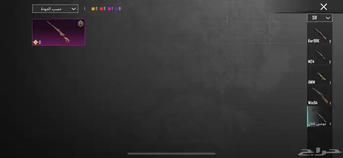 حساب ببجي امفور ثلجي فخم 45