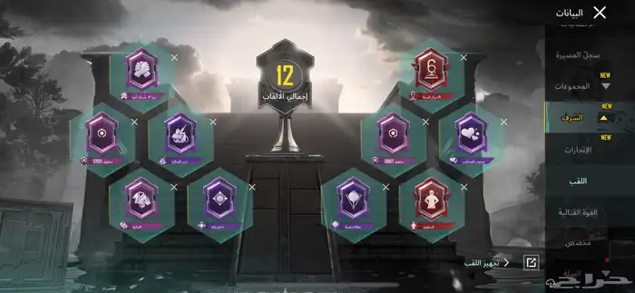 حساب ببجي امفور ثلجي فخم 19