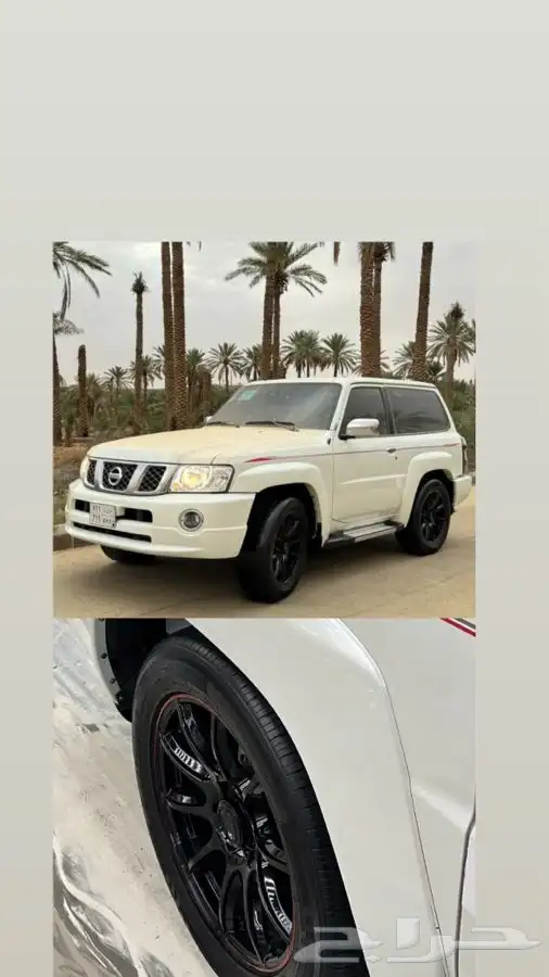 جنوط رايز يباني للفتك وسيرا 1