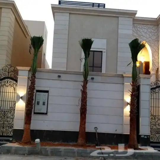نخل زينه وشنطنيا توريد وغرس وتكريب 2
