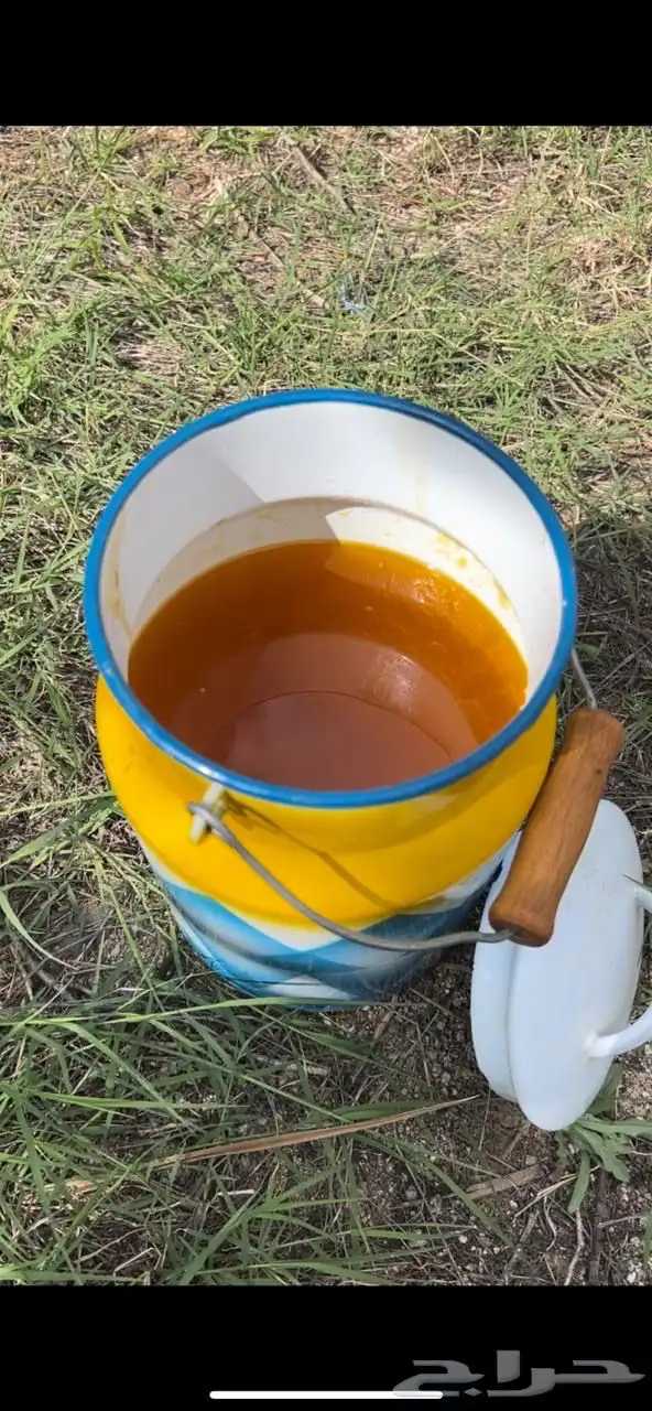 سمن بلدي شرط مضمون 1
