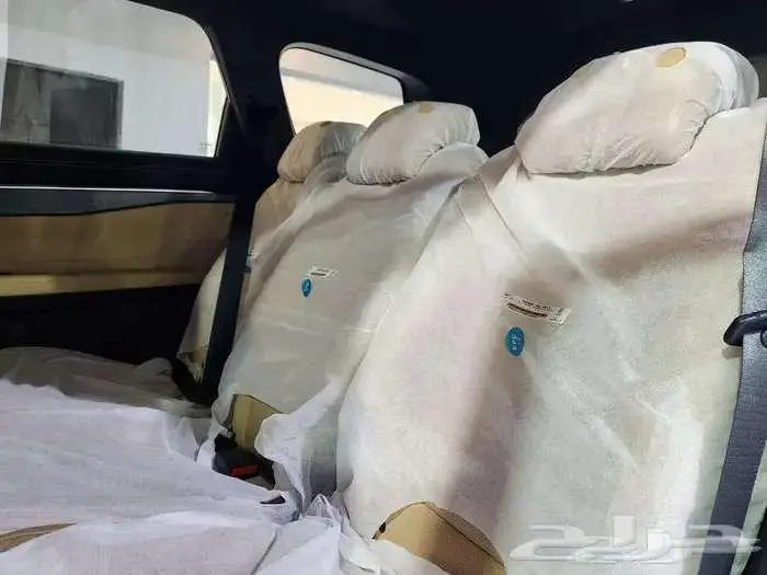 جيلي اوكافانجو 2024 كااش واقساط 13