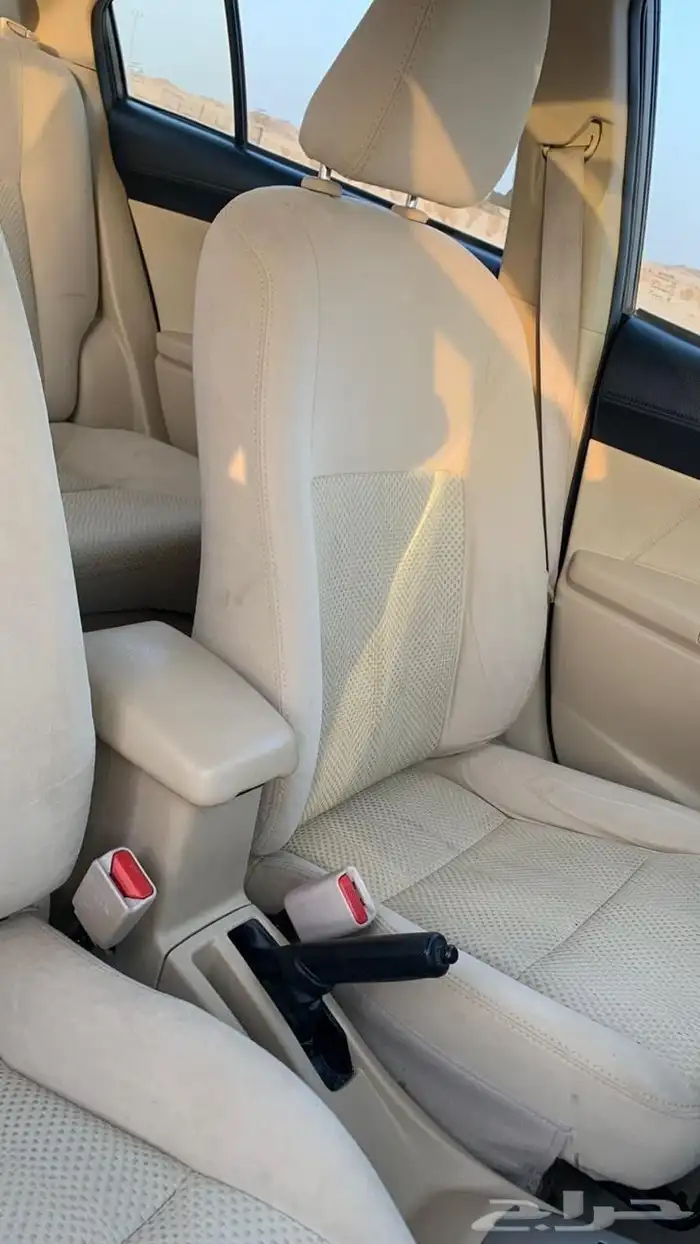عسير بيشة 11