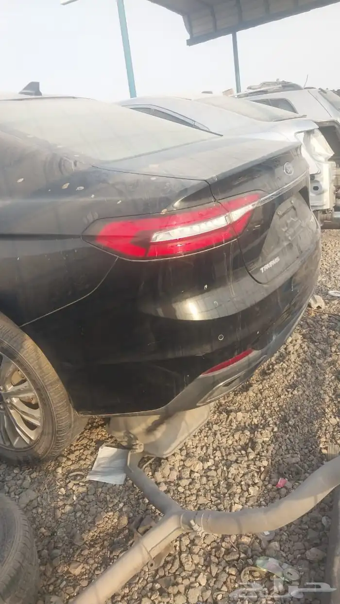 تورس 2020 1