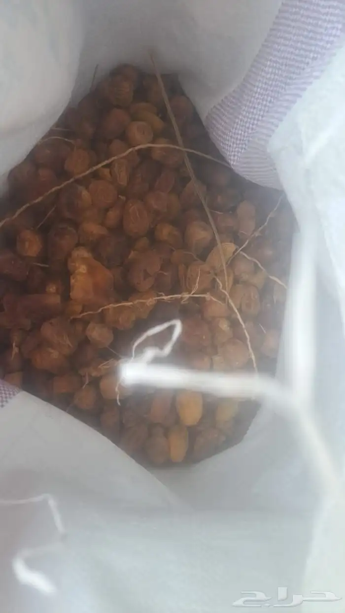 تمر أعلاف للحلال خياس 1