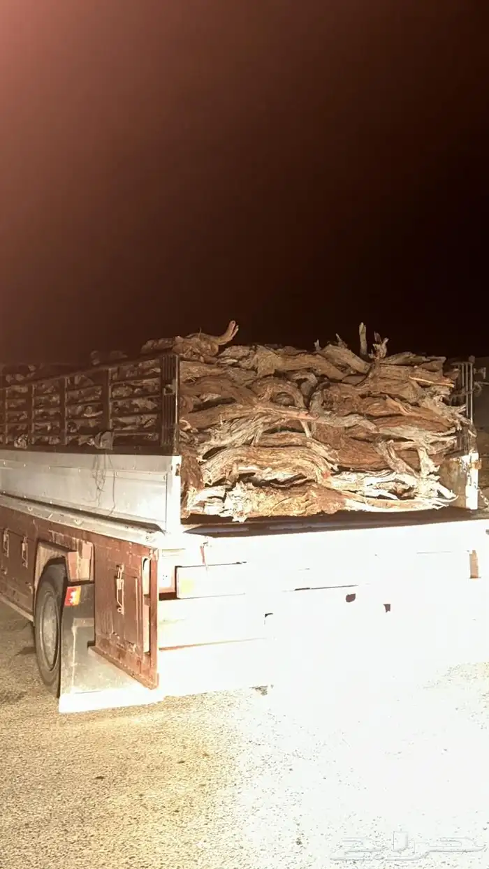 ديناء للبيع 3